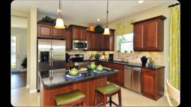 Parrish Florida Real Estate: Freshwater 2 Home at Forest Creek